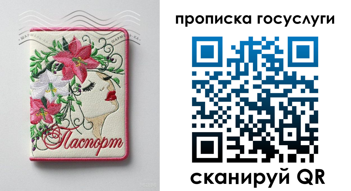 прописка поиск в Александровске
